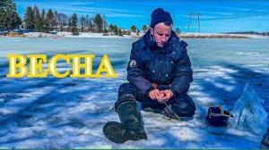 Рыбалка весной во Владимире