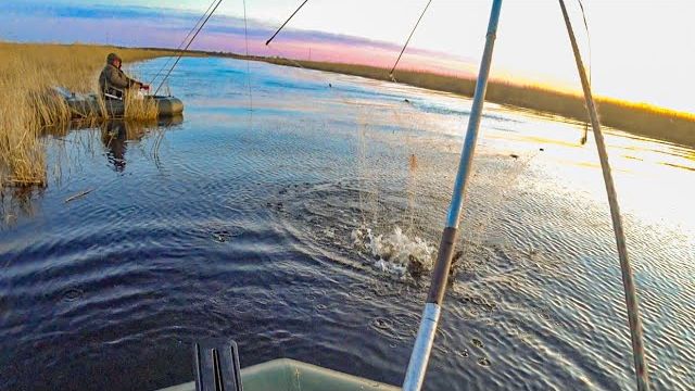 Лучший Отдых в Сибири. Крутая Семейная Летняя Рыбалка 2025. Поймали Всю Рыбу. Богатый Улов Онлайн