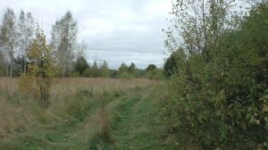 Не путем и не дорогой - 2017. Третья часть - Шоры и Редькино