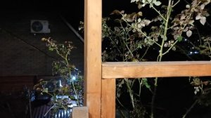 СОЧИ ГОРНОЕ ЛОО 24.03.2026