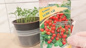 Про вершки и корешки. Обзор сортов и гибридов. Огород на балконе