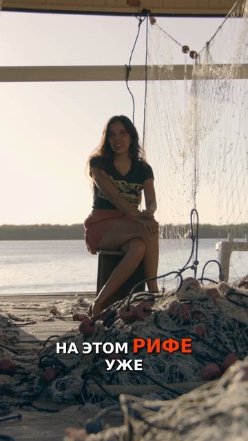 В ожидании акул!