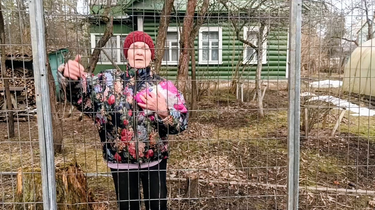 "Жизнь на пенсии".. Хорошо, что забор не глухой стоит, можно пообщаться.