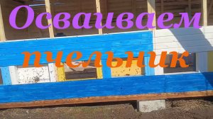 Заселяем новый пчельник первыми пчёлами