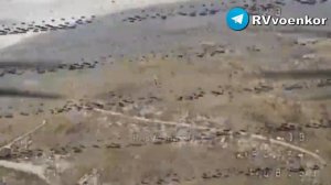 ‼️🇷🇺«🅾️тважные» громят технику и пехоту врага в боях за Покровском, Мирноградом и в Днепропетровс