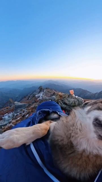 В горах с песиком