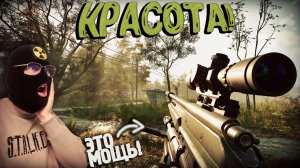 ЗАМЕСЫ на КОРДОНЕ! ПОДСТВОЛЬНЫЙ ДРОБАШ и КРАСОТА! История Скифа на РУССКОМ+МОДЫ Прохождение #36