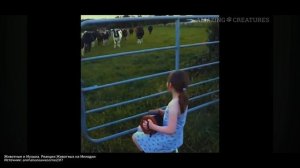 ММ#28 - МУЗЫКА И ЖИВОТНЫЕ. КАК МУЗЫКА ВЛИЯЕТ НА ПИТОМЦЕВ