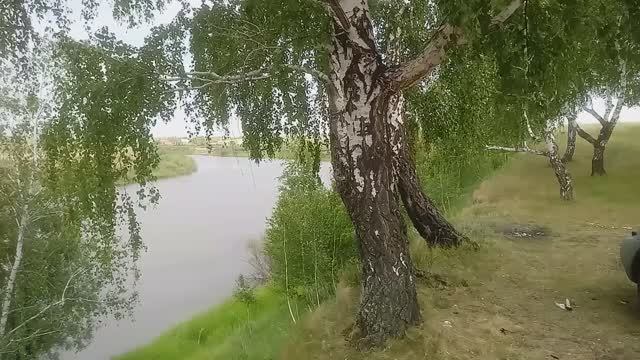 со всеми оригинальными звуками