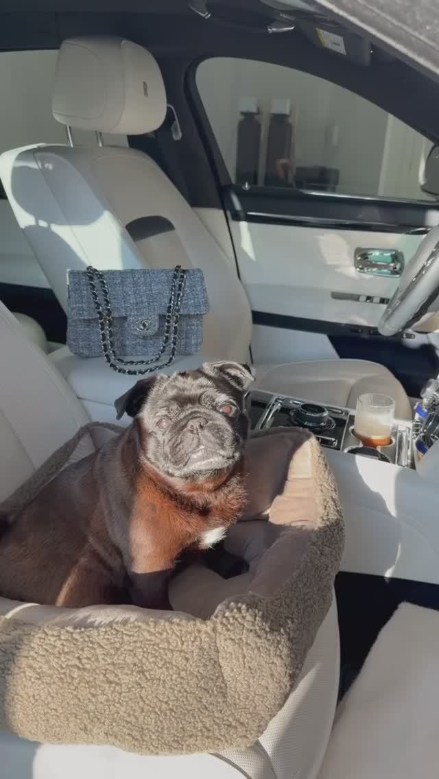 Проведем часть дня вместе? 🤍