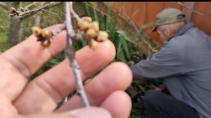 Весенние хлопоты. То обрежем, то погребём. Так и топаем. Простая жизнь пенсионеров.