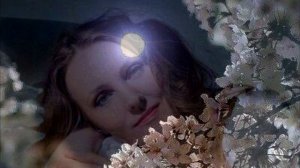 Елена Лунина "Пусть я стану твоей бессонницей"