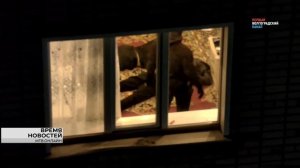 Волгоградский ревнивец с бензином попытался сжечь автомобиль бывшей жены