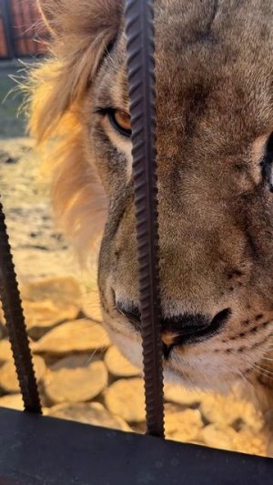 Эти взгляды..