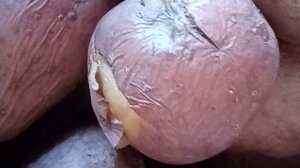 Гречка, картошка по домашнему