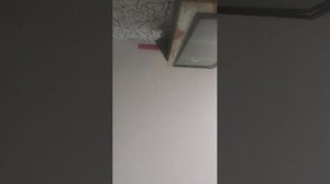 67665нпрог мне ш4гкшкгегелллггкгклклклклклелешегшешкшкшешшш4ш7е7еогк﹤оашщкщкшкллкллкшш7елело3г4ш3768