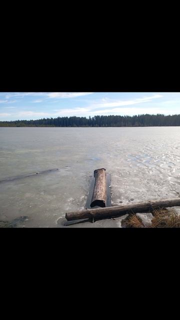 Весна подходит к Ленобласти