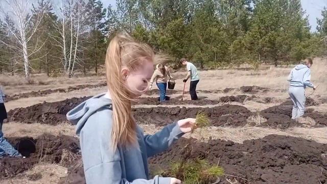 Зеленый патруль смотреть онлайн