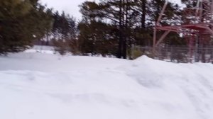 Вечерняя прогулка,с Леонардиком😄🥰