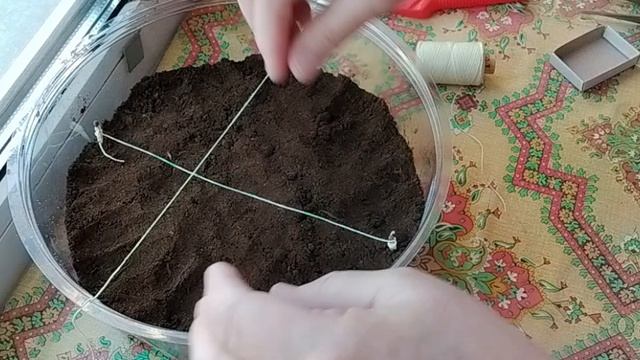 Сажу рассаду, неспешный разговор, АСМР, ASMR