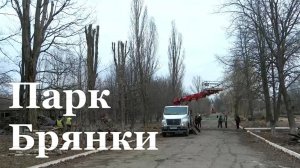В Брянке реконструируют центральный парк