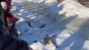 24.03.26 г. РК Волна.