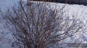 На память 23 марта 2026 г