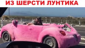 Лютые мемы. Машина из шерсти Лунтика