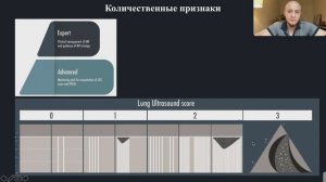 УЗИ и фонендоскоп Щепарев И.С.