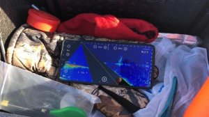 Ping mini , eagle eye