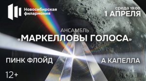 ТЕМНАЯ СТОРОНА ЛУНЫ