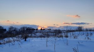 Вечер в мартовском лесу.(март 2026)