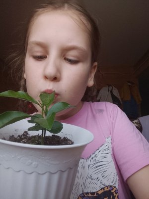 рисовааать