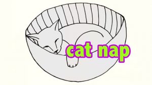 cat nap — американский английский, сленг и идиомы