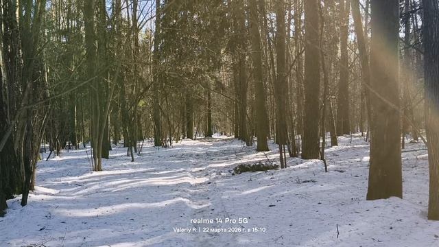 Прогулка #41   22.03.2026   #Лосиныйостров