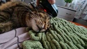 Будим утром Лёлика