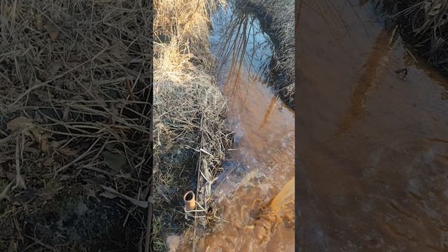 Дачные хлопоты.