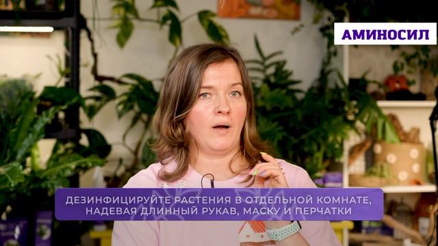 🪱 Копеечное средство от мучнистого червеца