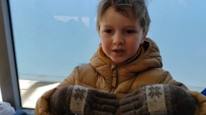 Автобусы Петербурга и новый электробус Сириус
