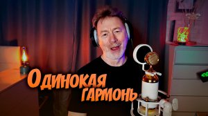Одинокая гармонь с баяном