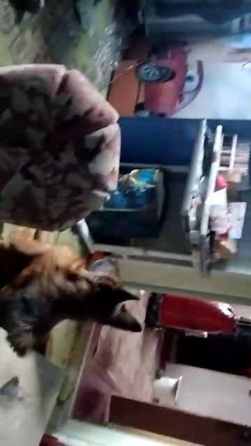 что мы сегодня будем творить