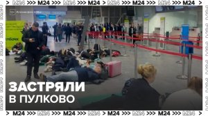 Застрявшим в Пулково москвичам предложили вылететь домой через 10 дней - Москва 24
