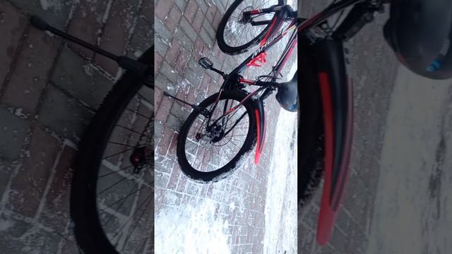 1000040739.mp4 смотреть онлайн