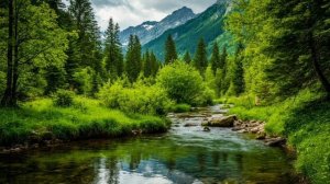 Концерт №142| Ирина Одарчук Паули