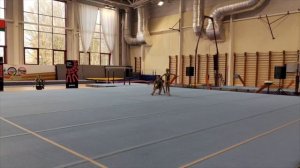 ЖП 2 спортивный разряд, Клименко Ксения - Горбунова Елизавета, МАУДО ДТДиМ, Балансовое упражнение