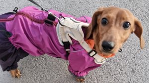 гуляем в парке