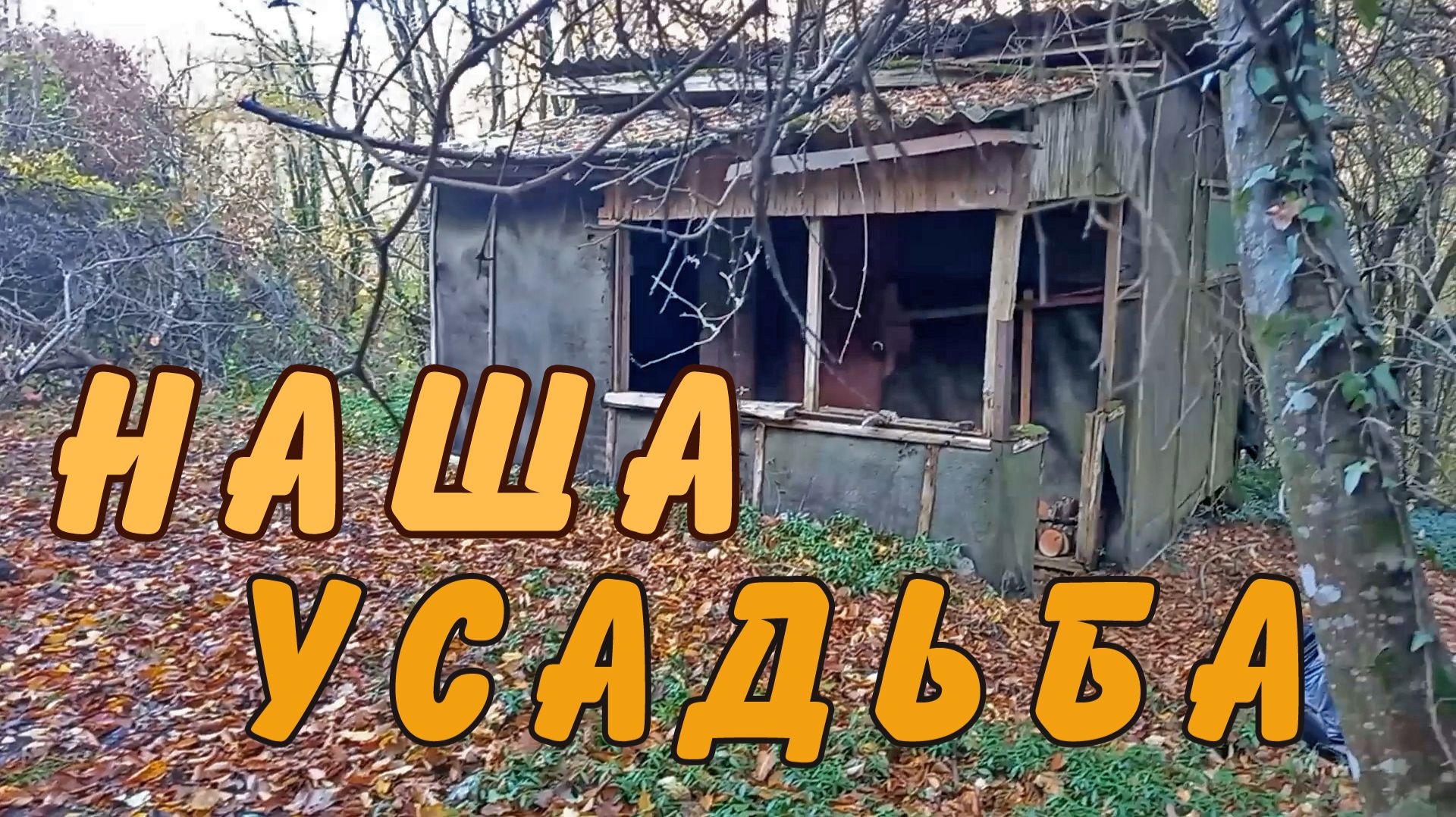 Заехали по осени на наш земельный участок.