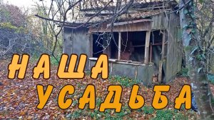 Заехали по осени на наш земельный участок.