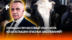 Борьба с пастереллезом ударила по фермерам в Новосибирской области / ИТОГИ НЕДЕЛИ с Петром Марченко