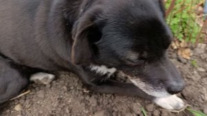 У всех весеннее настроения 😀